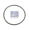 SCANI 1769798 Seal Ring